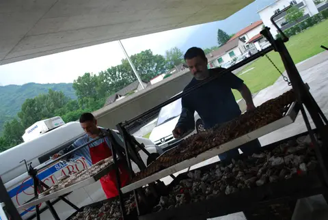 Accademia 2012, foto 20