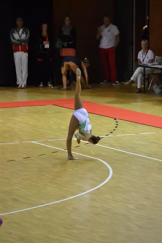 InternationalCup 2013, foto 32