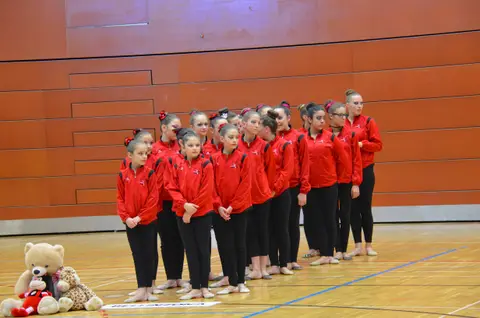Finale 2015 Volketswil, foto 28